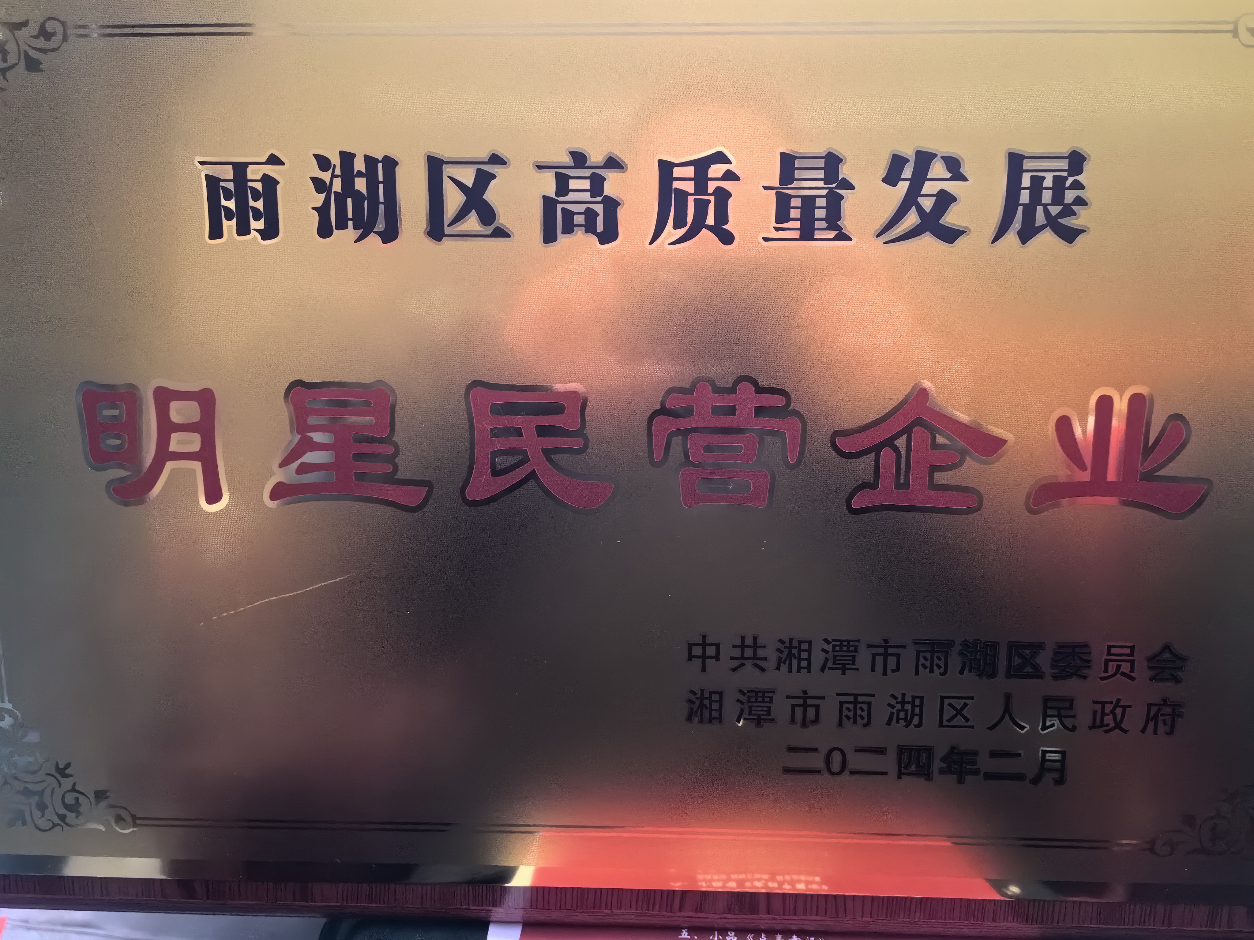 万搏手机在线官网荣获“雨湖区高质量发展明星民营企业”称号